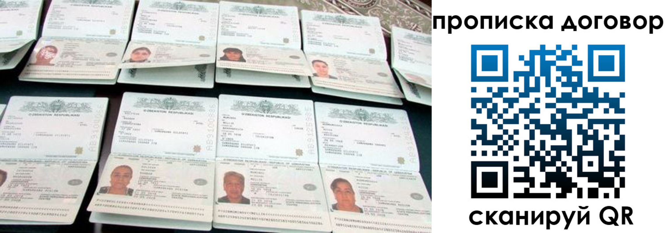 прописка для школы в Мончегорске